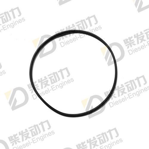 O-ring 975610